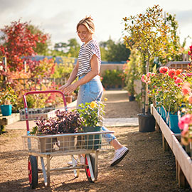 Listing Taxonomy Image